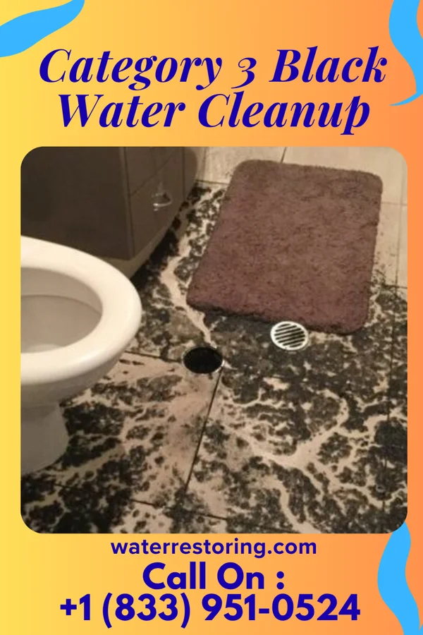 Category 3 Black Water Cleanup in Kellnersville, WI