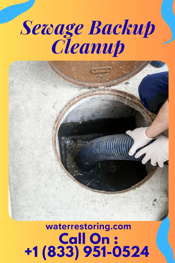 Sewage Backup Cleanup in Kellnersville, WI