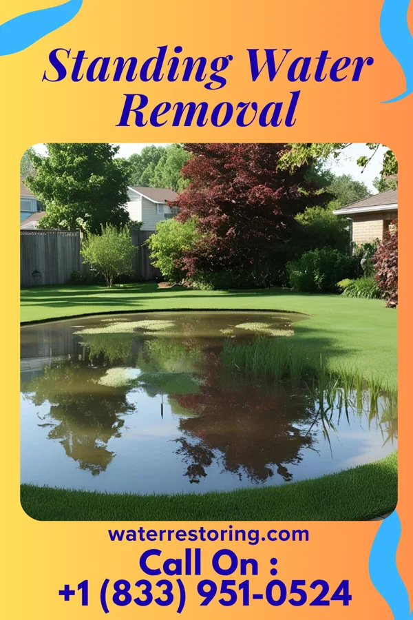 Standing Water Removal in Kellnersville, WI